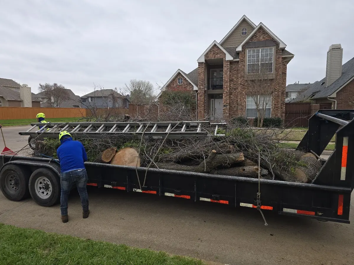 Expert Tree Pest Control with proper safety equipment in Fowlerville